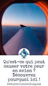 Ces stages peuvent être remboursés partiellement voire totalement par certaines mutuelles 😉. Causes De La Peur De L Avion D Ou Vient L Aviophobie