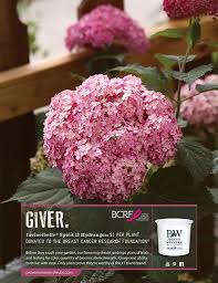 Each proven winner is chosen for its ease of culture, floriferous habit, and exceptional beauty. A Better Landscape Starts With A Better Flowering Shrub