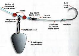 Image result for bass fishing setup