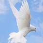Profile Picture of Obituary information for Kerri Kyle Self (@yatesfuneralhome.com) on Google