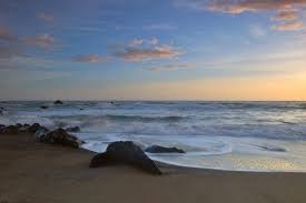 Which beach parking lots are open and closed? San Francisco Beach Bonfires California Beaches