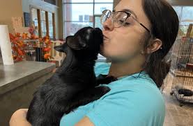 Vickroy: Vet shortage causing big problems for animal rescues and shelters,  with one facing closure because of it