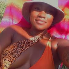 What transport companies can move a vehicle from Canada to Florida?