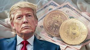 Trump and Elon Musk, Vision for America, Bitcoin Innovation < 경제·산업 < 기사본문  - 펜앤드마이크