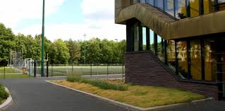 All information about vitesse (eredivisie) current squad with market values transfers rumours player stats fixtures news. Training Facility Vitesse With Sedum Groundcover Sempergreen