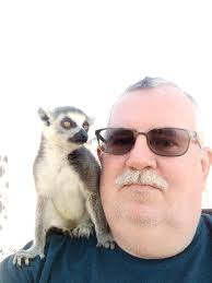 Taco Rice 🌮🍚 Ingredients