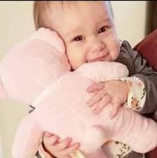 Governor Greg Abbott and Secretary Kennedy joined forces to prioritize  nutrition education in the state & Make Texas Healthy Again. Many chronic  diseases in our nation can be cured with nutritious food.