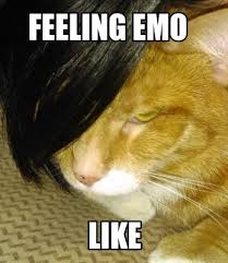 Feeling Emo Like Funny Feeling Emo Emo Guys