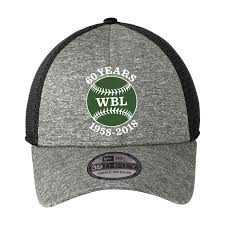 wbl new era shadow stretch mesh cap