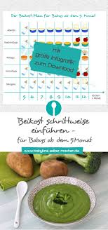 Wann genau nun der optimale zeitpunkt für den ersten brei ist, darüber streiten sich die geister und die empfehlungen wechseln alle paar jahre. Beikost Einfuhren Fur Babys Ab Dem 5 Monat So Geht Es Beikost Beikost Baby Babynahrung