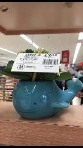 How Lovely Are These New At Tesco Bag A Weekly Bargain Facebook