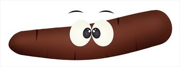 what the appearance if your poop means