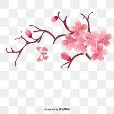Cartoon Vector Cherry Vector Cartoon Pink Cherry Blossoms Flowers Pink Vector Blossoms Vector Cherry Blossom Cherry Blossom Flowers Blossom