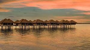 Seri bayu resort located just 3 minutes walk away from the tranquil beach of bagan lalang in sepang district not only offers nature lovers and city dwellers a great weekend retreat to escape from the. Avani Sepang Goldcoast Resort Sungai Pelek Holidaycheck Kuala Lumpur Malaysia