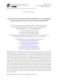 Image result for Pavetta pierlotii