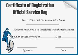 Is usually that will remarkable???. Id Card Format Pdf Free Download