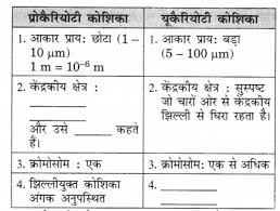 Ncert Solutions For Class 9 Science Chapter 5 Hindi Medium Ncert Solutions