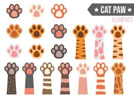 How to draw animal footprints step by step? Premium Vector Draw Cat And Dog Paws Doodle Cartoon Style