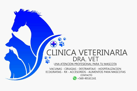Clínica veterinaria dra vet