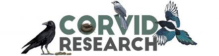 I sure could have used this info last week when my husband brought home a nestling starling after a carrion crow dropped it in on the lawn in. Do Crows Reduce Other Songbirds