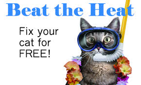 Spay illinois offers low cost spay and neuter at our pet well clinic in lisle. Free Spay Neuter The Cat S Meow