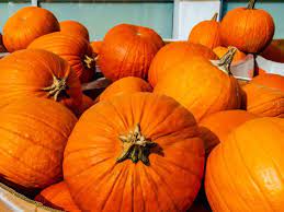 Combine the salt, paprika, cumin and cayenne; Pumpkins Health Benefits And Nutritional Breakdown