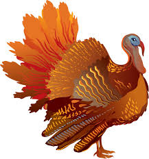 Are you searching for thanksgiving turkey png images or vector? Thanksgiving Sideview Turkey Icons Png Free Png And Icons Downloads