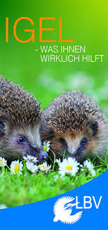 Igel Im Garten Gefunden Wie Futtern Bauanleitung Igelburg Igel Im Garten Gartenschirme Hinterhof Gemusegarten