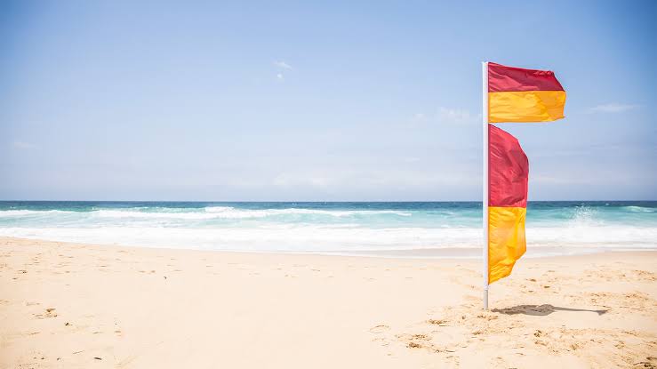 SLSA confirms red and yellow flags save lives - Surf Life Saving