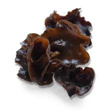 Black fungus is also known as wood ear or cloud ear mushrooms, because they resemble human ear. White Prince Mushrooms Blog Archive Black Fungus