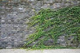 Per verificare i requisiti per i quali il muro di contenimento rientra nell'agevolazione, l'agenzia delle entrate si basa su un documento di prassi e. Muro Di Confine Proprieta E Riparazioni