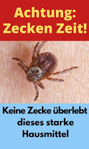 So Vermeidest Du Garantiert Gefahrliche Zeckenbisse Borreliose In 2020 Zecken Hausmittel Zecke