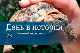 Den 23 Maya V Istorii Parlamentskaya Gazeta