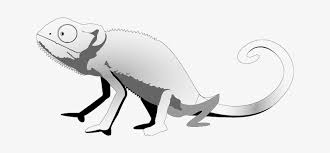 Foto karikatur hits adalah foto karikatur dimana yang dapat. Lizard Gray Black White Gecko Animal Gambar Bunglon Hitam Putih Transparent Png 640x320 Free Download On Nicepng