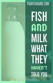 This Article Outlines The Effects Of Milk And Fish Combination And How There Is No Scientific Evidence If Milk Can Be Harmful Af Drink Milk Eat Food Combining