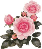 Giphy is how you search, share, discover, and create gifs. Pink Floyd Flowers The Wall Gifs Tenor