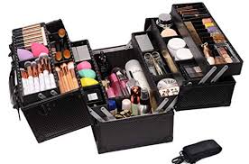 rolling makeup train cases bo