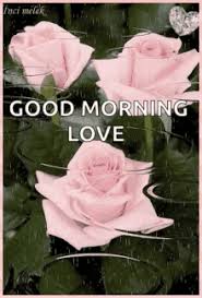 Good morning rain morning thoughts good morning picture good morning happy good morning greetings good morning good night gd morning collection of best good morning cards hd. Good Morning Raining Gif Good Morning Raining Rain Drops Discover Share Gifs