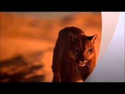 Best Arabic Music Ever Youtube Best Songs Music Good Music