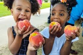 SNAP-Ed Helps Alabama Kids to Choose, Purchase, and Enjoy Farm-Fresh Fruits  and Veggies!