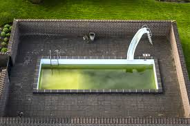 Algen Im Pool Schwimmbecken Wasser Grun Was Tun