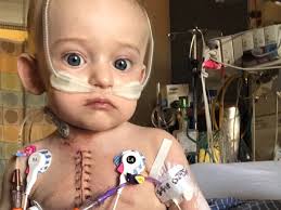 Fundraiser for Andy Johnston by Leah Woodrell-Bacon : Help Heal Elliott's  Heart