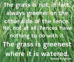 The Grass Is Always Greener On The Other Side Of The Fence Essay The Grass Is Greenest Where It Is Watered Motivational Quotes Success