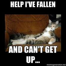 I Ve Fallen And I Can T Get Up Meme Prime Medical Alert Funny Laugh Bones Funny Make Me Laugh