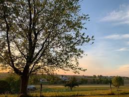 Maybe you would like to learn more about one of these? Kings Amish Furniture Lancaster Home Facebook