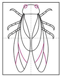 Cicada life cycle coloring page. Easy How To Draw A Cicada Tutorial And Cicada Coloring Page Art Projects For Kids