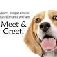 Beagle Meet and Greet in Downers Grove, IL event image