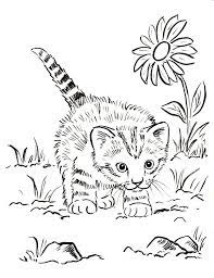 From pictures of sleeping kittens to playful kittens, there are fun kitten coloring pages for your kids to try. Kitten Coloring Pages Dibujo Para Imprimir Kitten Coloring Pages Dibujo Para Imprimir