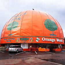 The world's leader in external exchange, rci boasts an impressive network of affiliated resort located all over the world. The Iconic Orange Picture Of Eli S Orange World Kissimmee Tripadvisor
