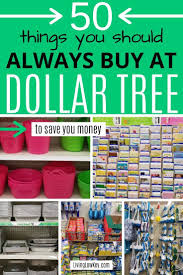 The Best Things To Buy At The Dollar Tree And What To Avoid Best Money Saving Tips Saving Money Dollar Tree